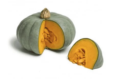 PUMPKIN学園/PumpKin 8mmCD Neverland F1 Pumpkin